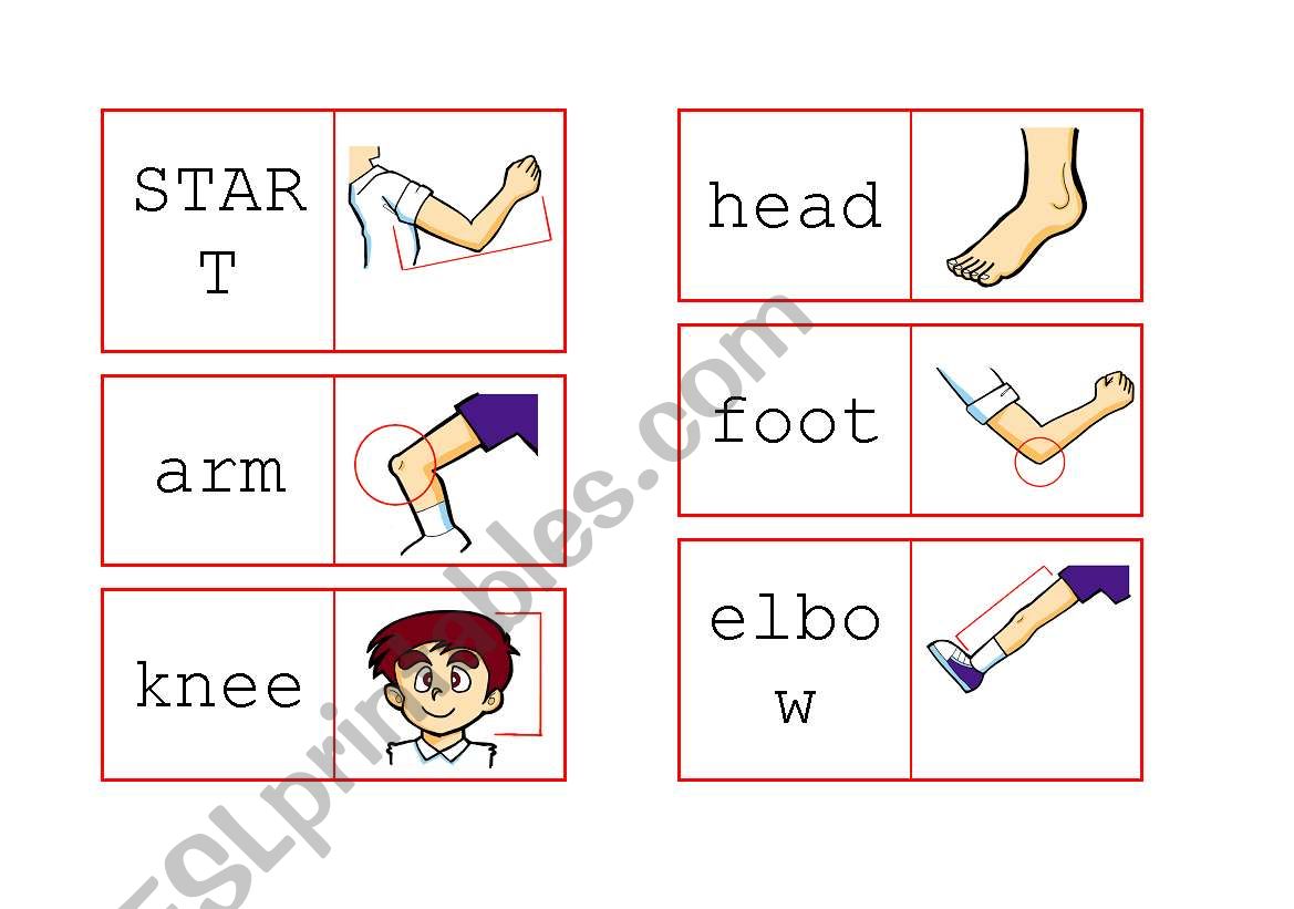 body worksheet