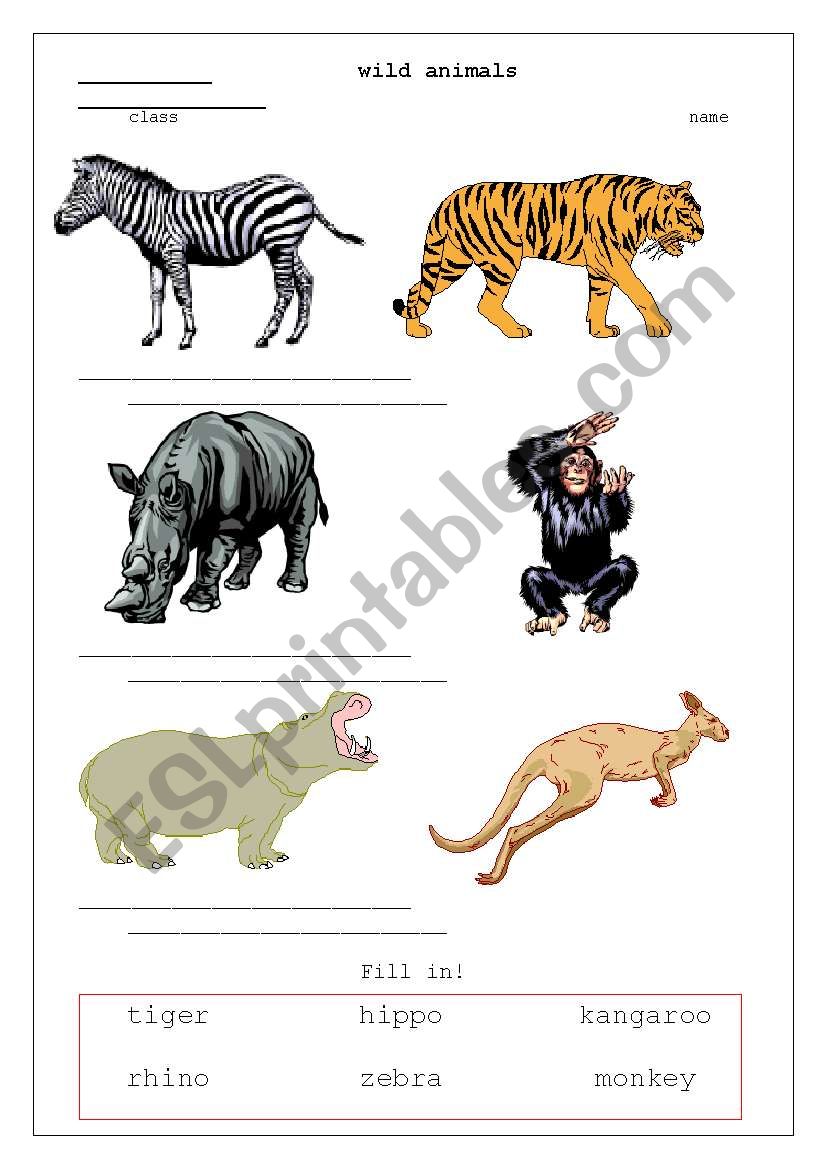 wild animals worksheet