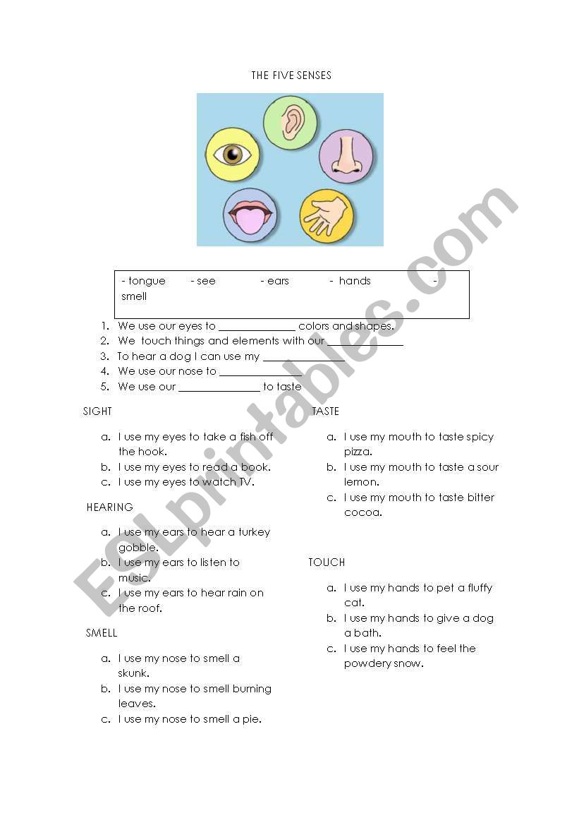 THE FOUR SEASONS worksheet