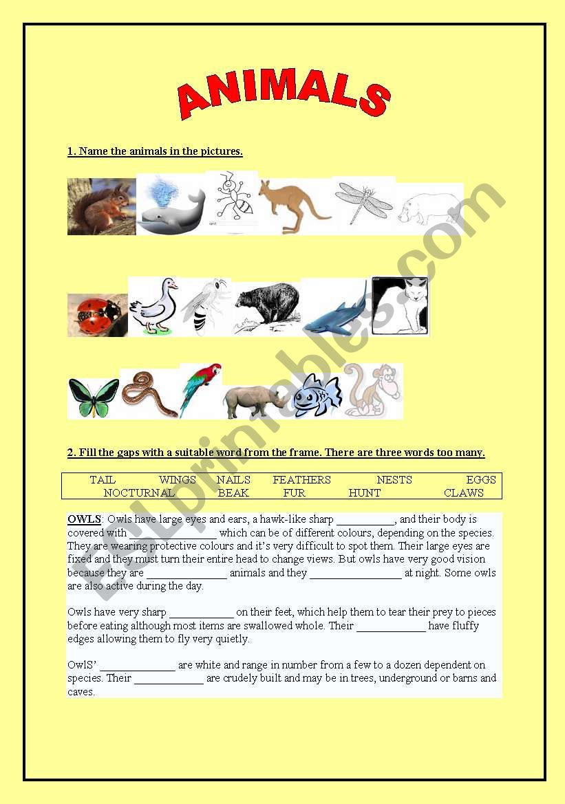 animals worksheet