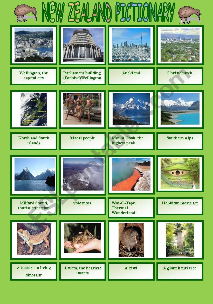 New Zealand pictionary with written practice of the attractionsÂ´names