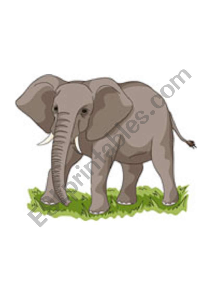 Wild Animals Flashcards worksheet