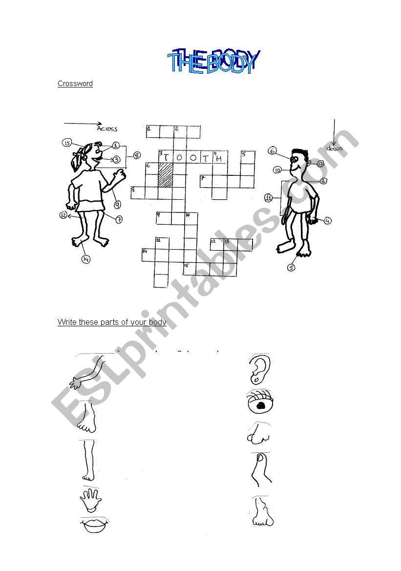 PARTS_OF_THE_BODY worksheet