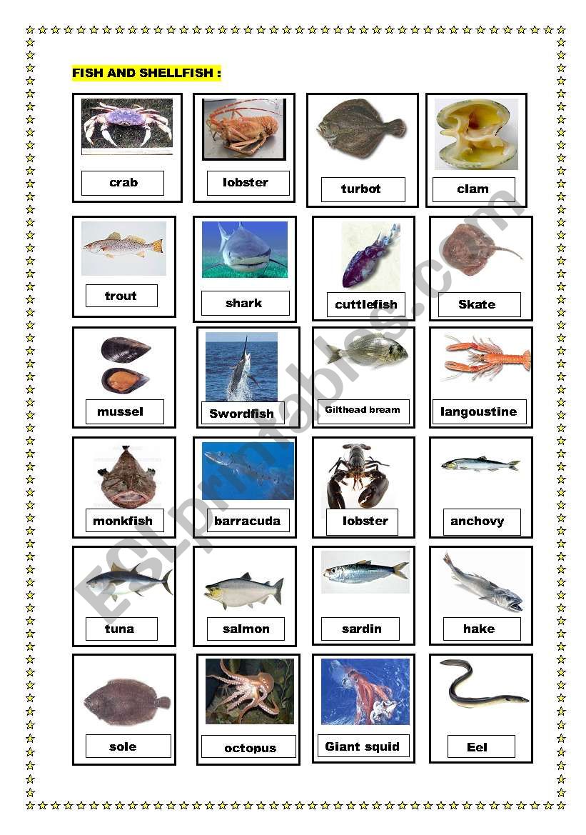 fish and sellfish pictionary worksheet