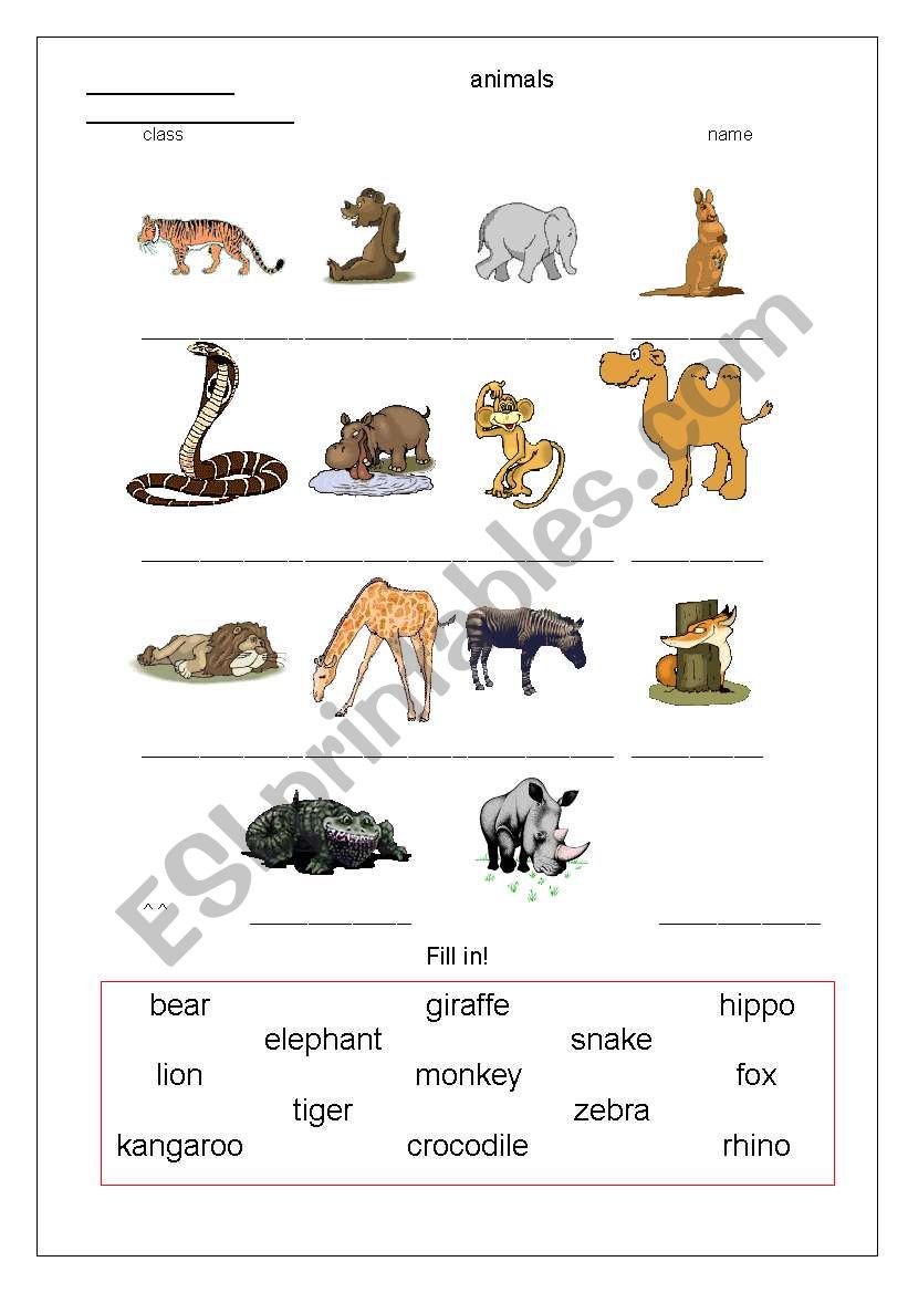 Wild animals worksheet