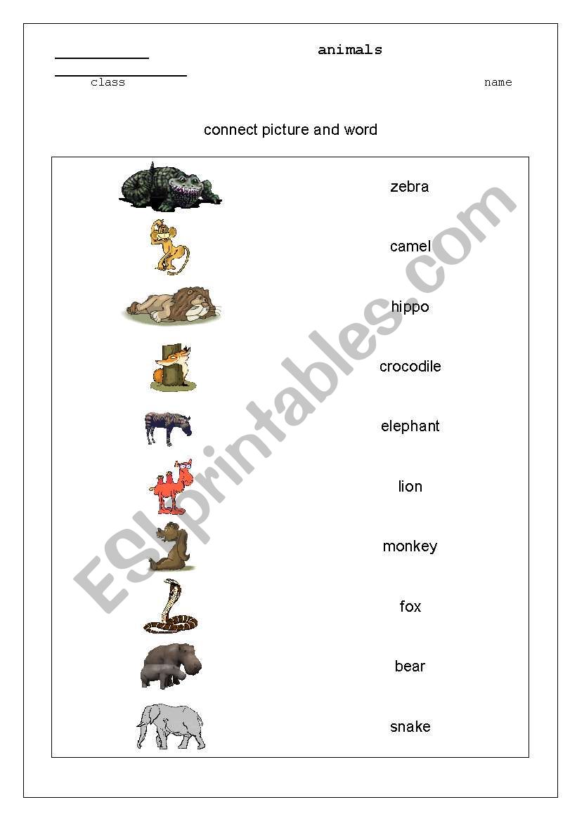 wild animals worksheet