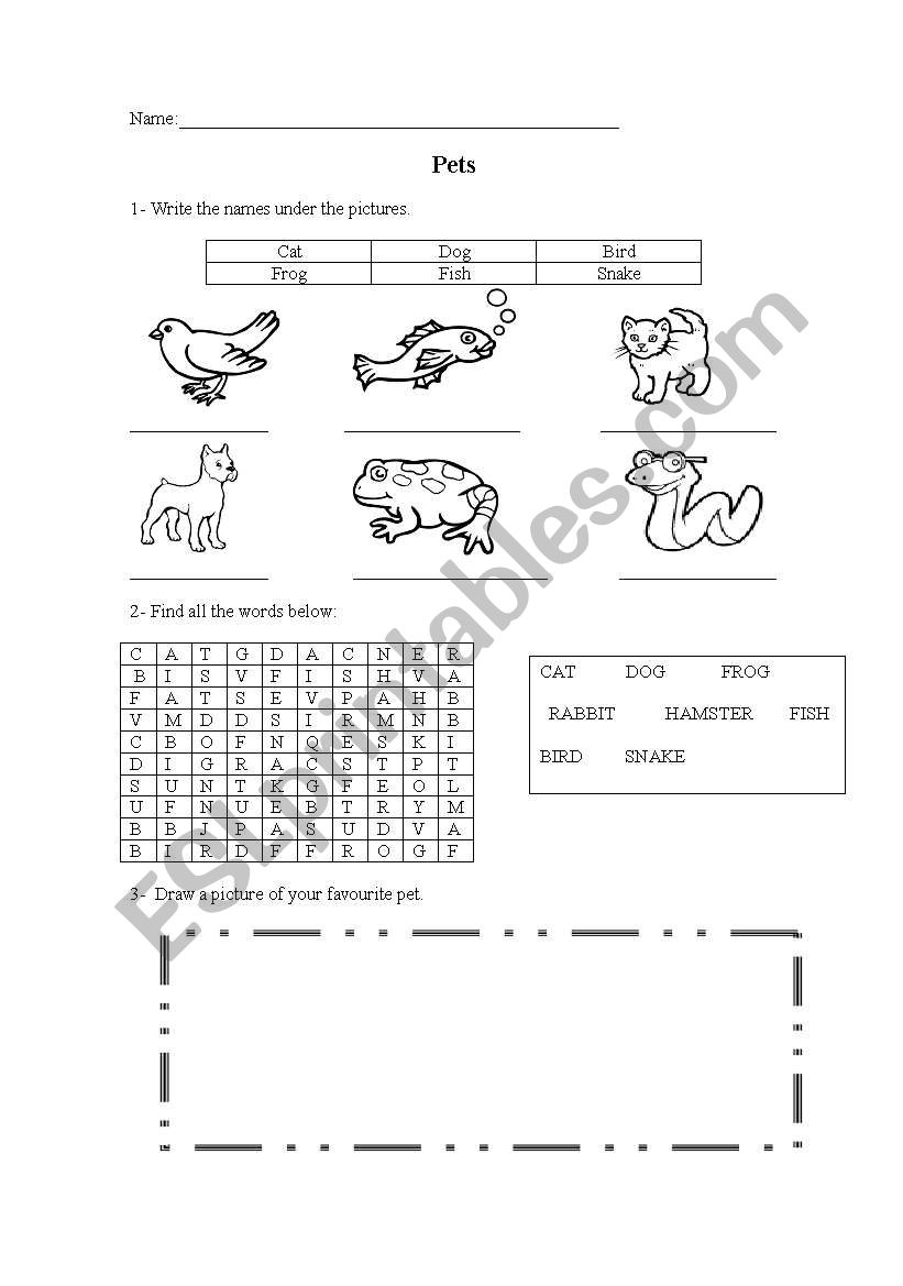 pets worksheet