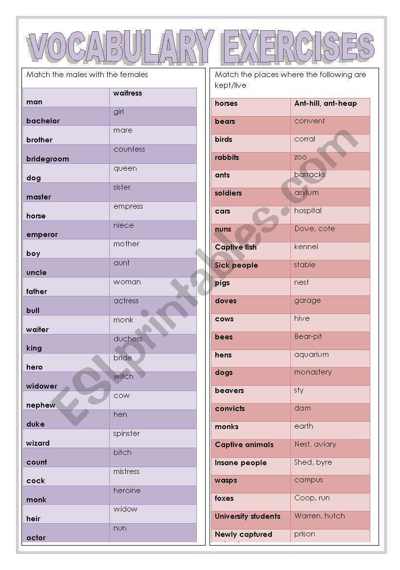 Vocabulary exercises of matching