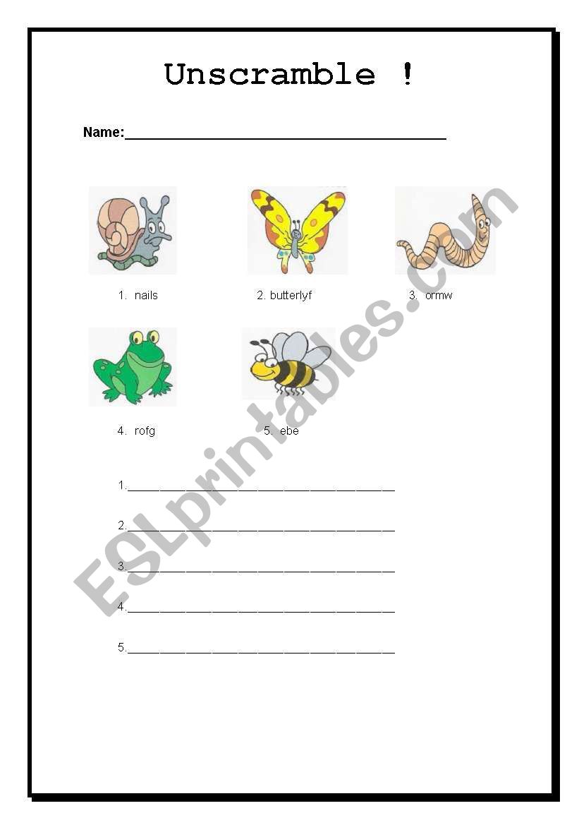 Unscramble insects worksheet