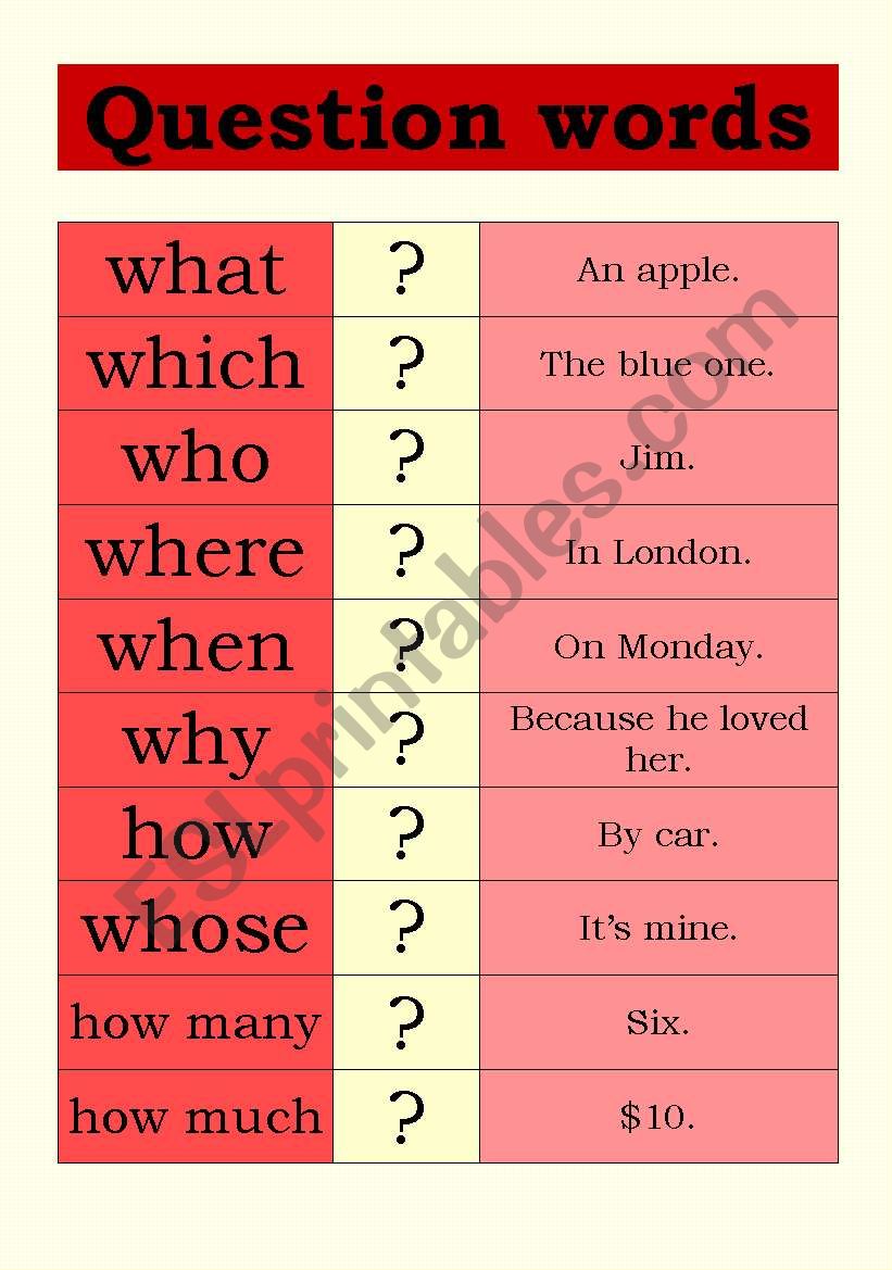 Question words worksheet