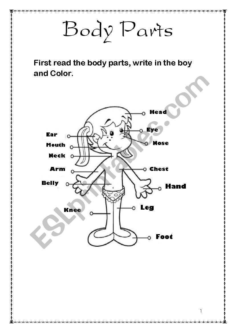Body Parts Girl and Boy worksheet