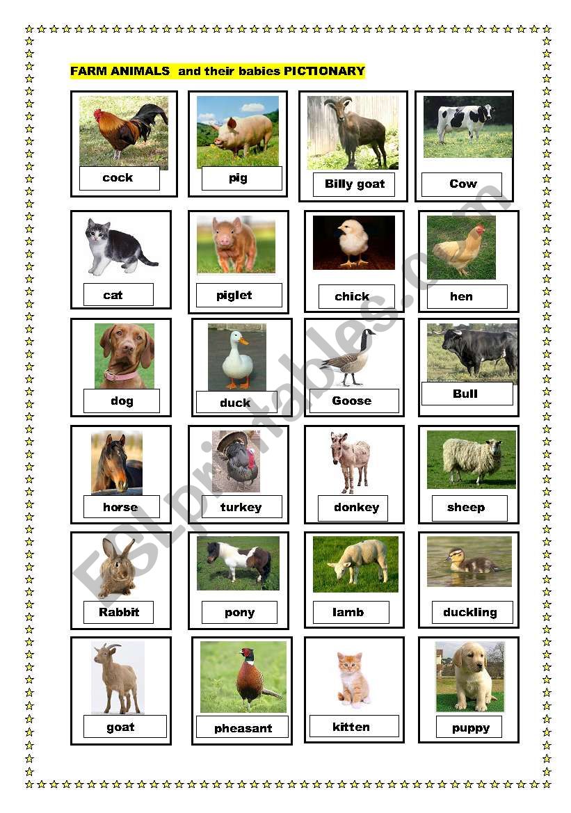 farm animals and their babies pictionary - ESL worksheet by manisa