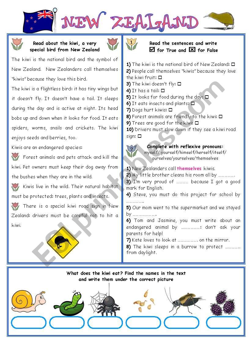 ENGLISH-SPEAKING COUNTRIES (10) NEW ZEALAND/EXERCISES (2 pages) 