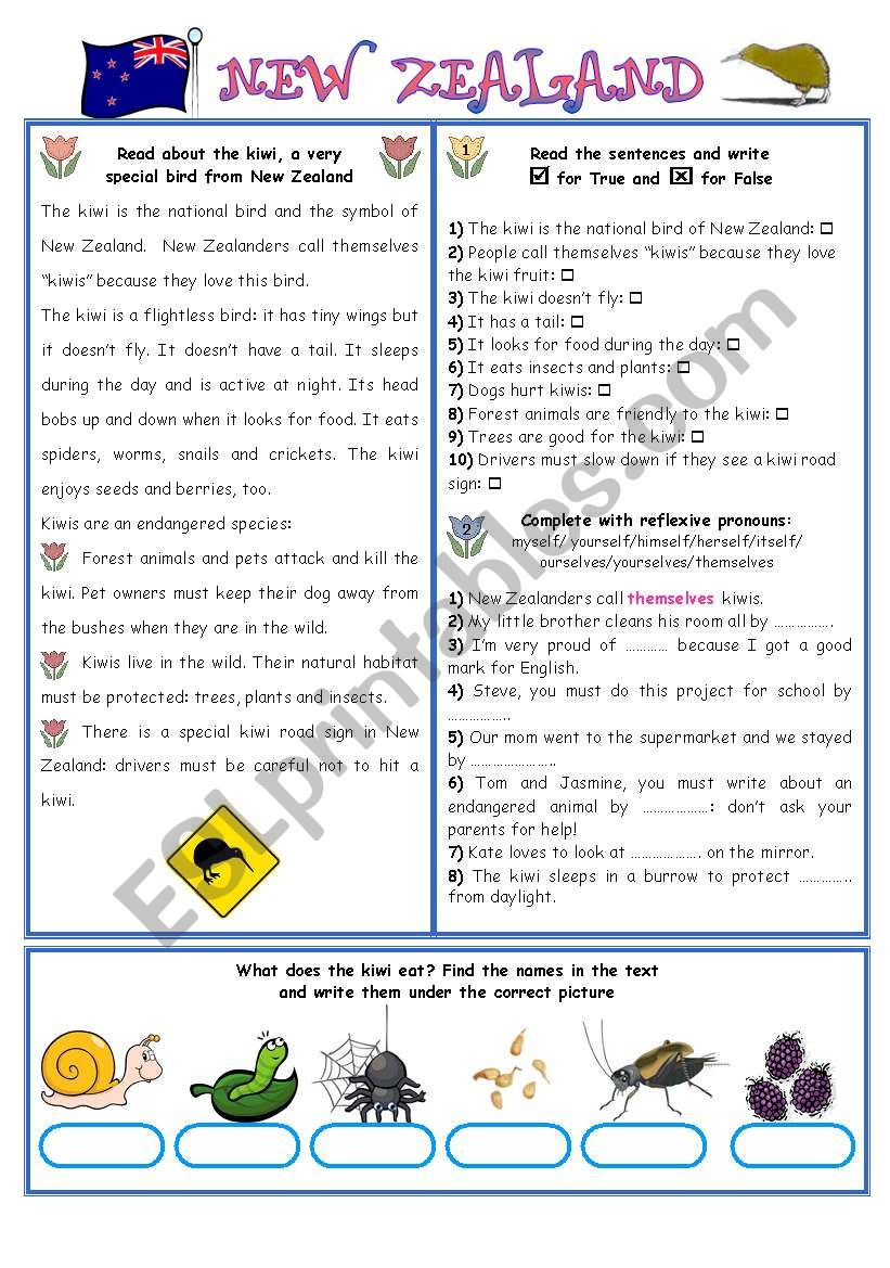 english speaking countries 10 new zealand exercises 2 pages esl worksheet by aimee s