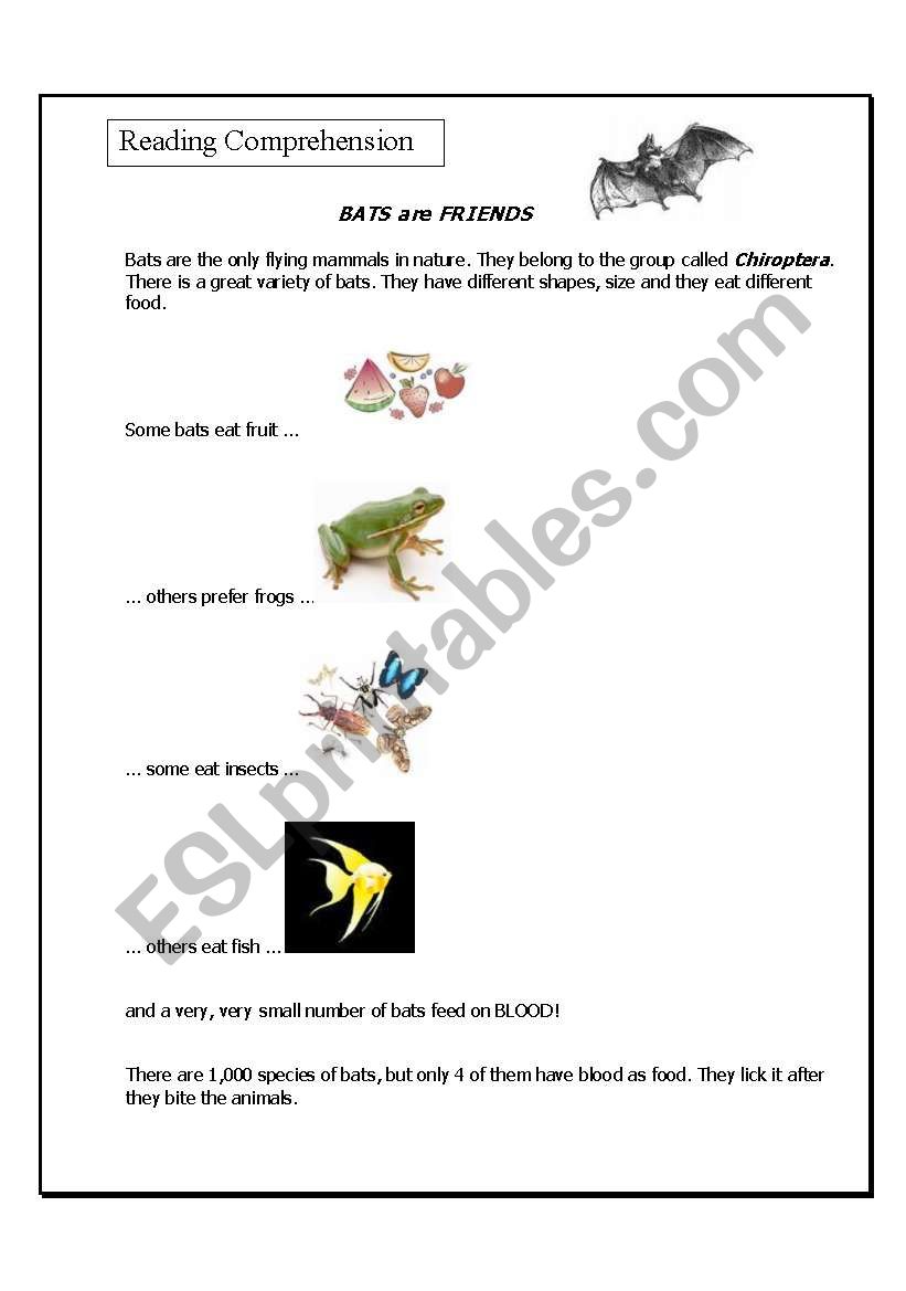 reading comprehension BATS worksheet