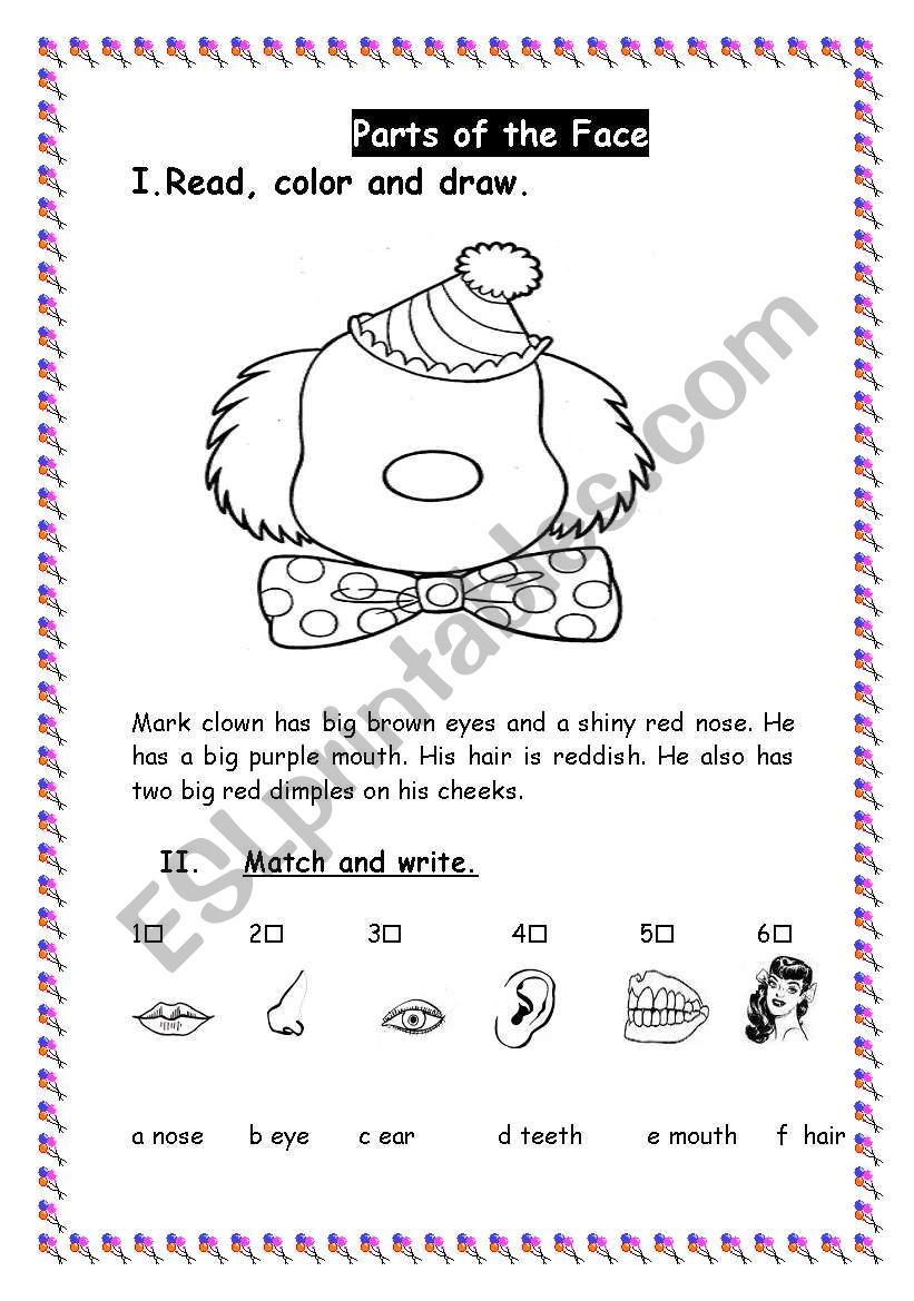 the face worksheet