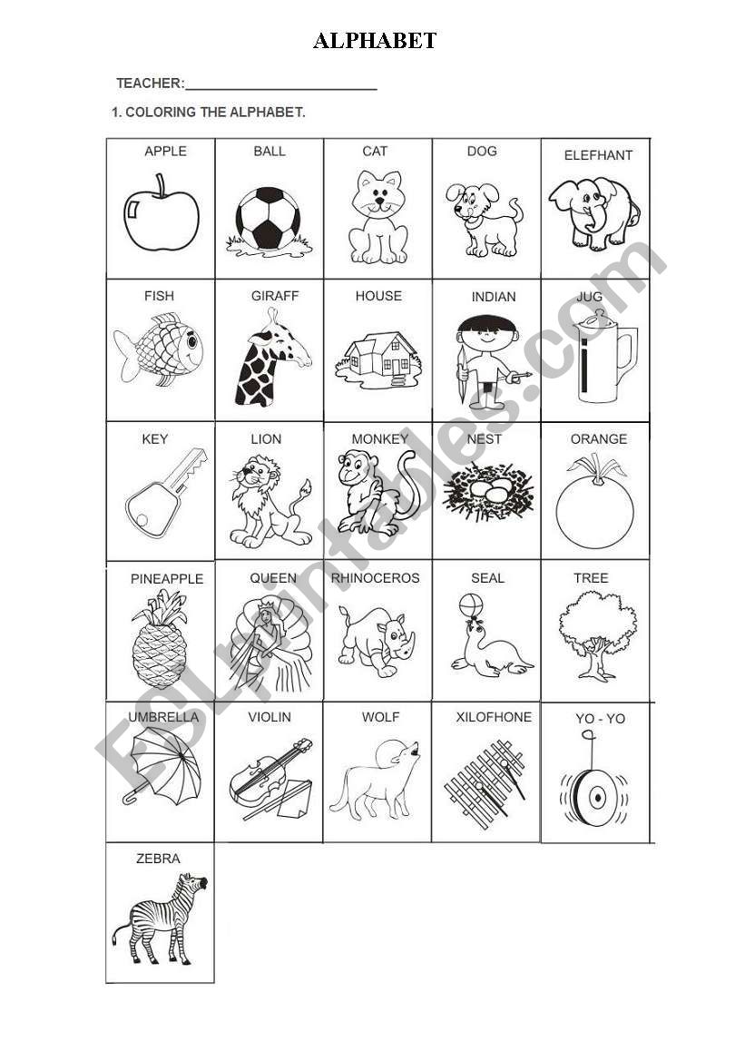 The alphabet worksheet