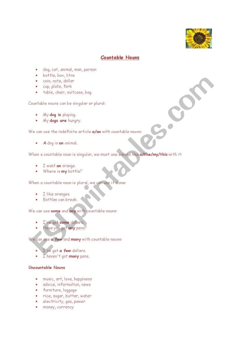 Countable and uncountable nouns