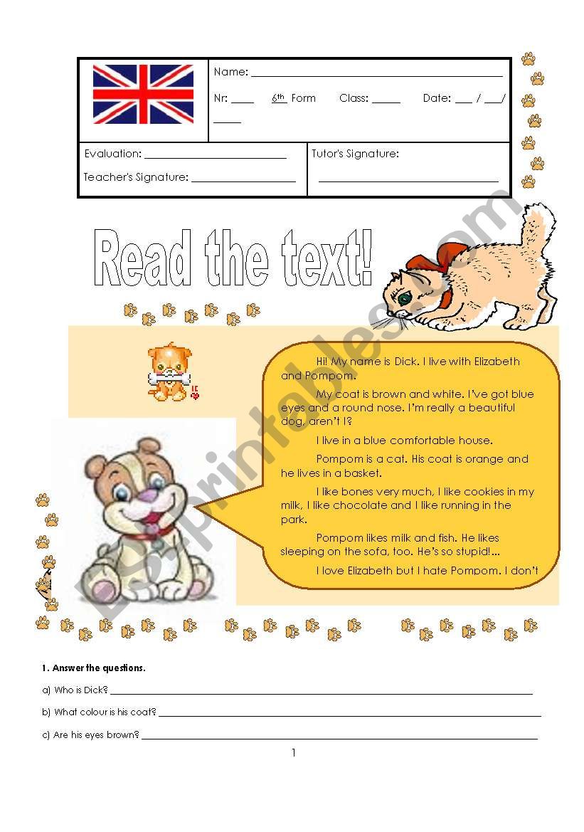 Test - 6th grade worksheet