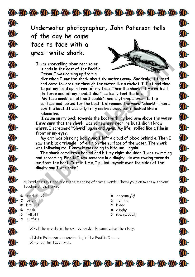 A Shark Experience  True Story