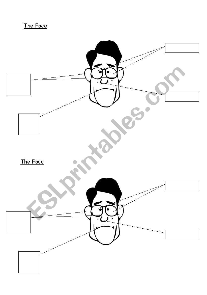 The Face worksheet