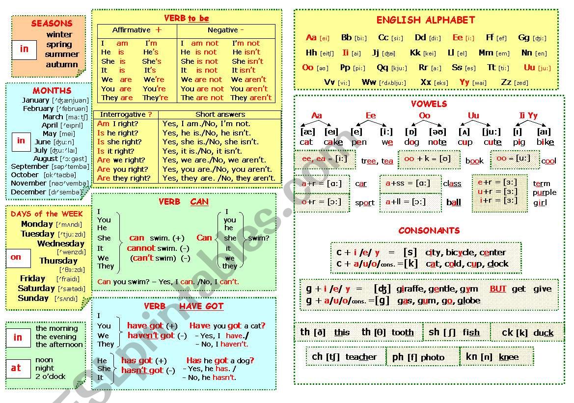 Grammar and vocabulary for beginners in charts