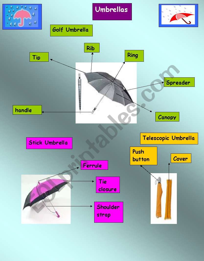 flashcard umbrellas  worksheet