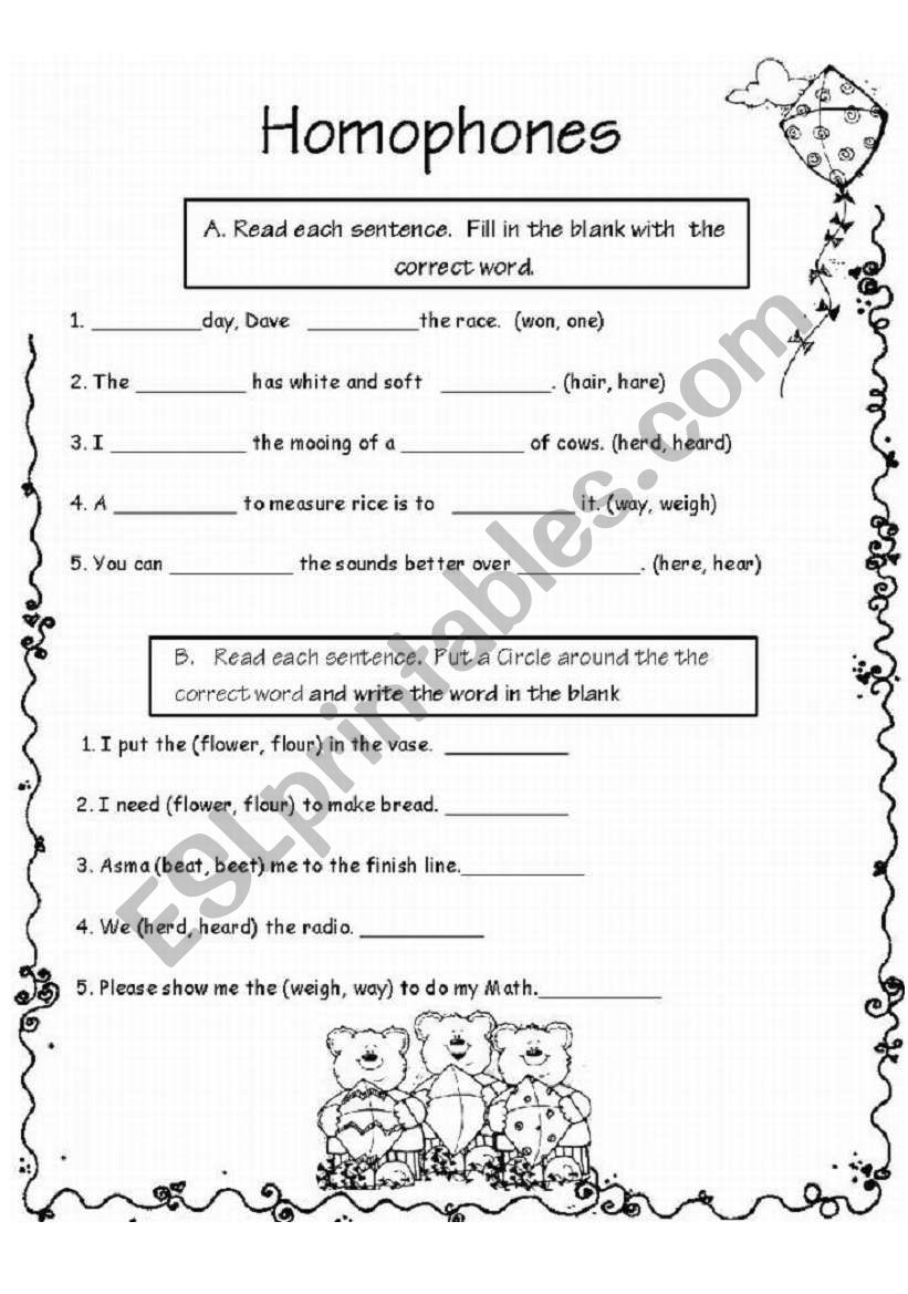 Homophones and Possessives worksheet Duo