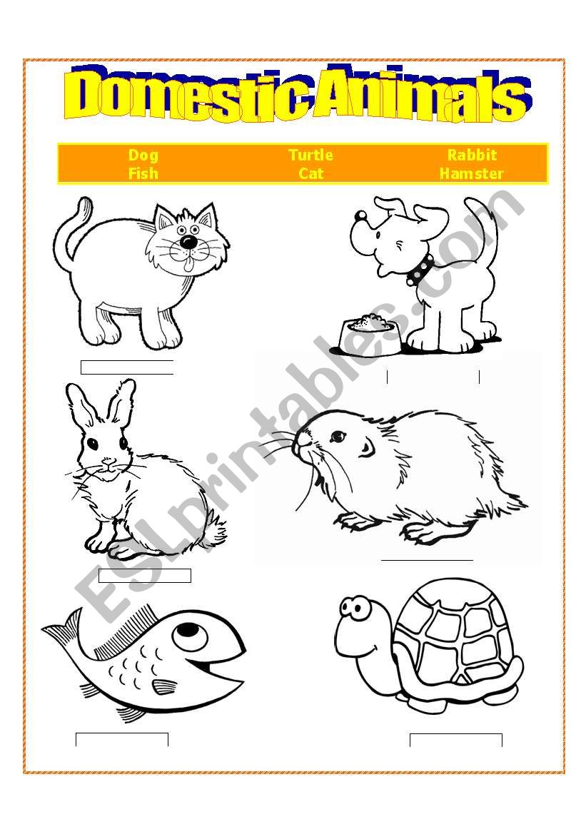 Domestic Animals worksheet