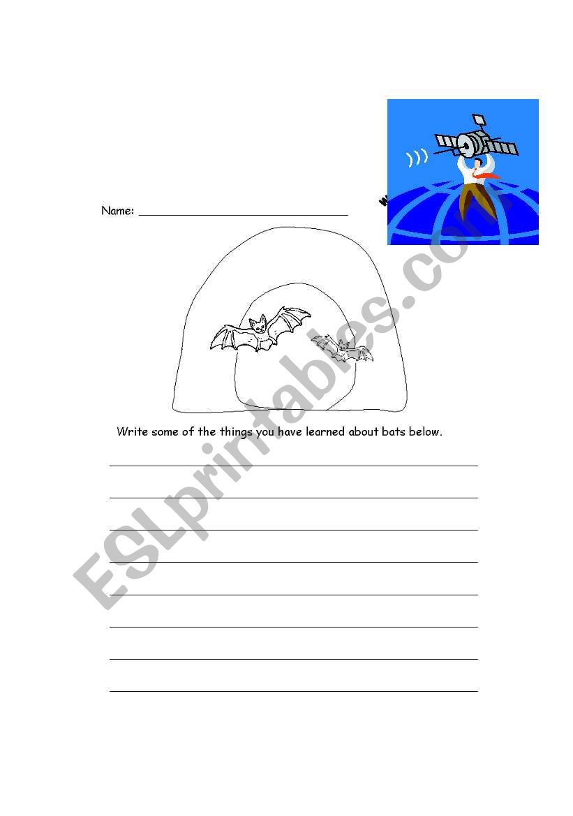 Bat Facts worksheet