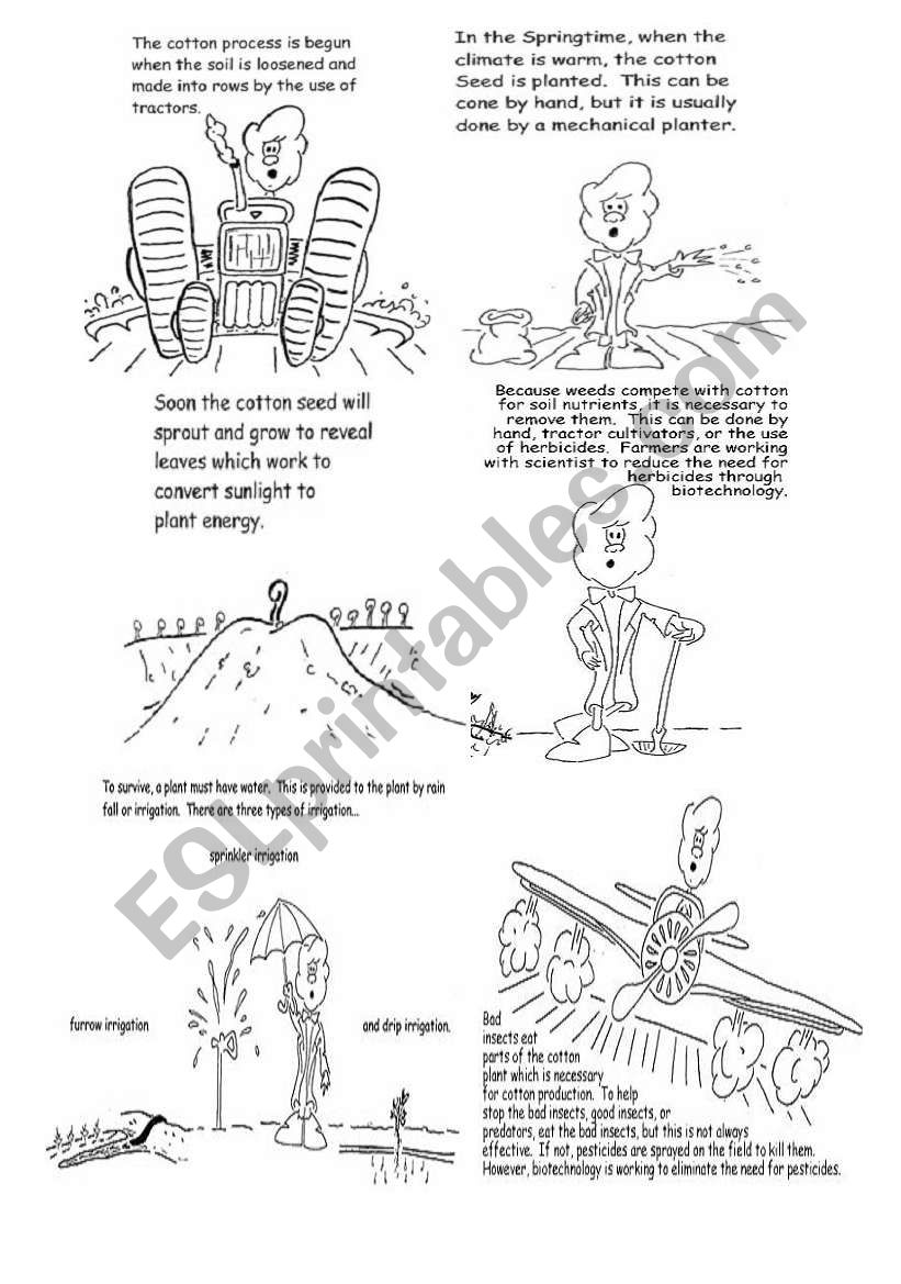 Reading - How to Grow Cotton worksheet