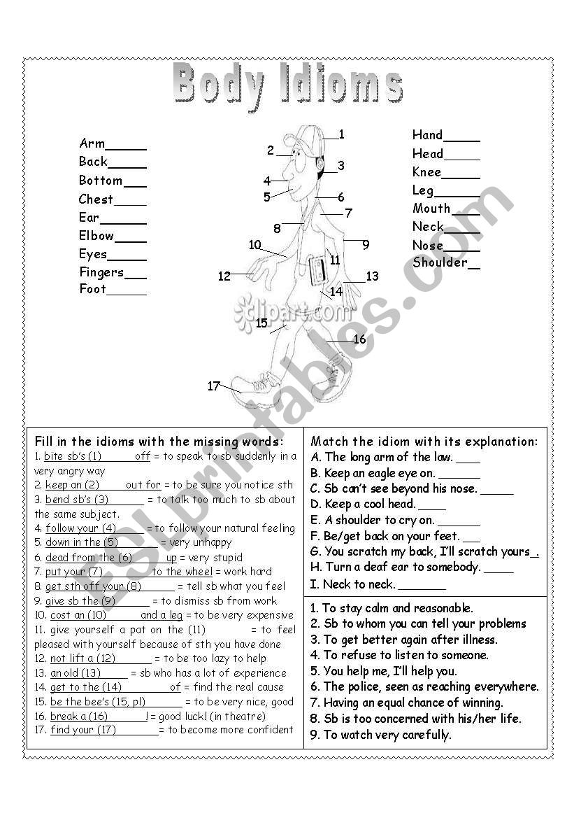 Body Idioms worksheet