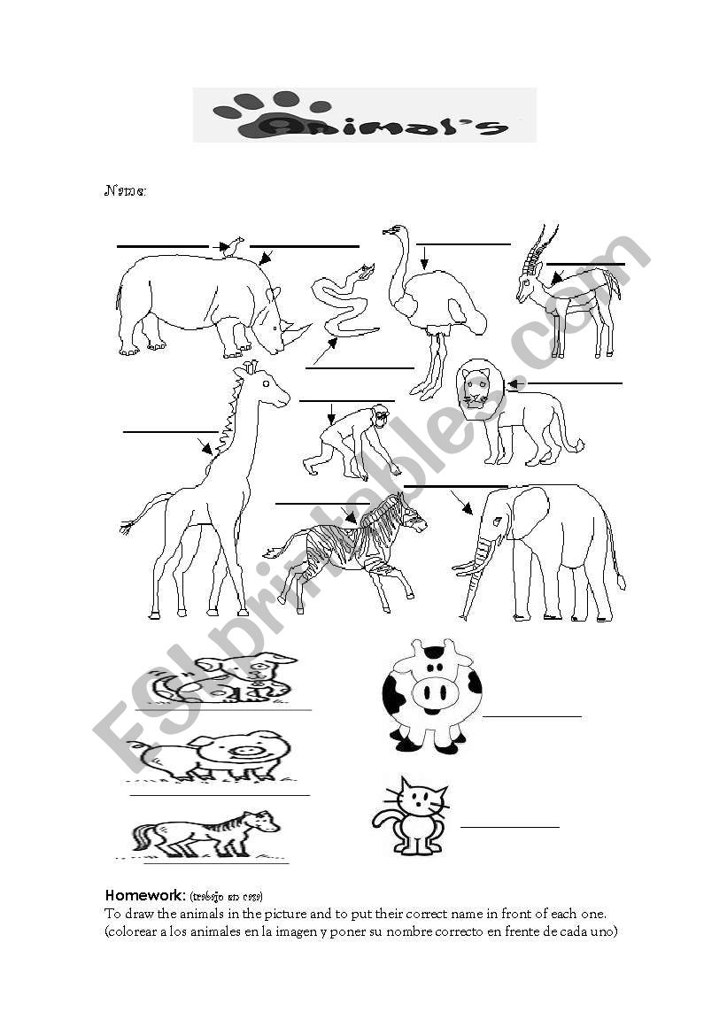 The animals worksheet