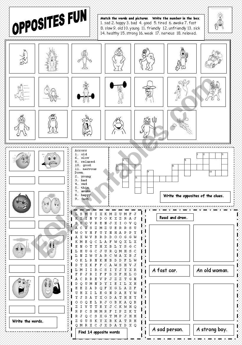 Opposites Fun worksheet