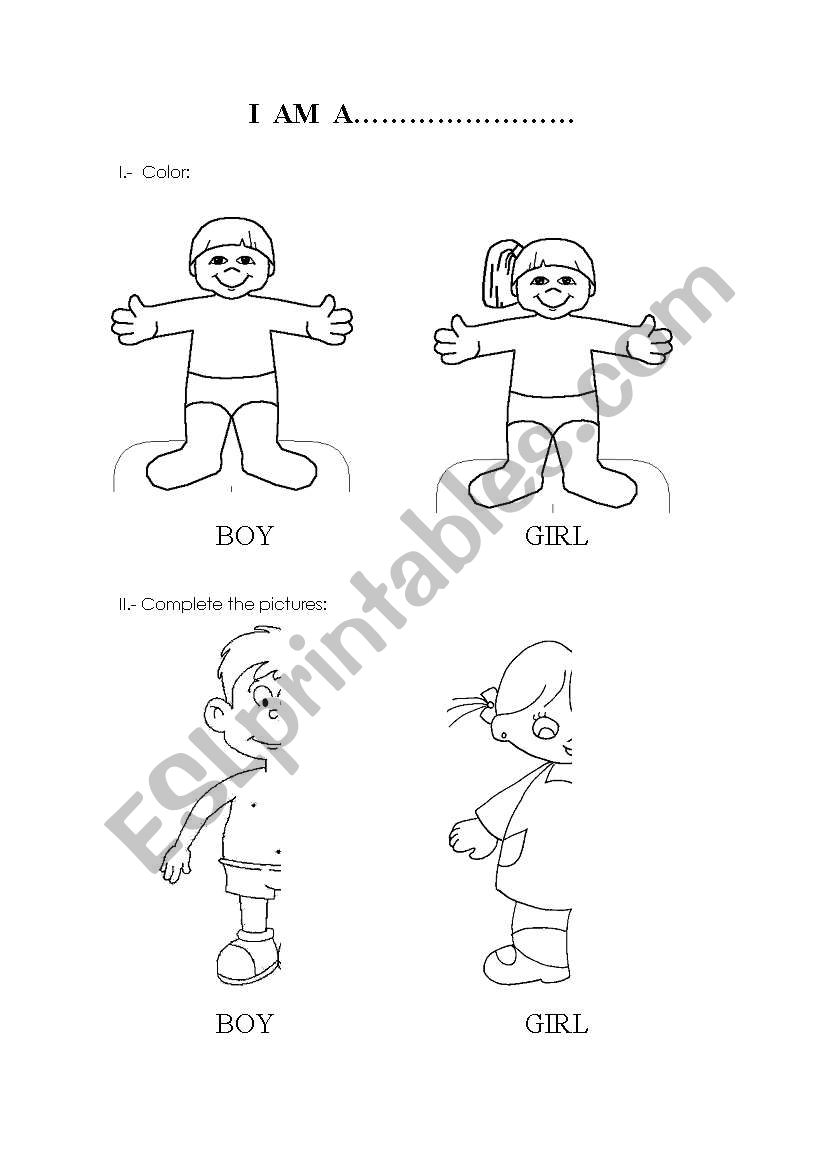 boy and girl worksheet