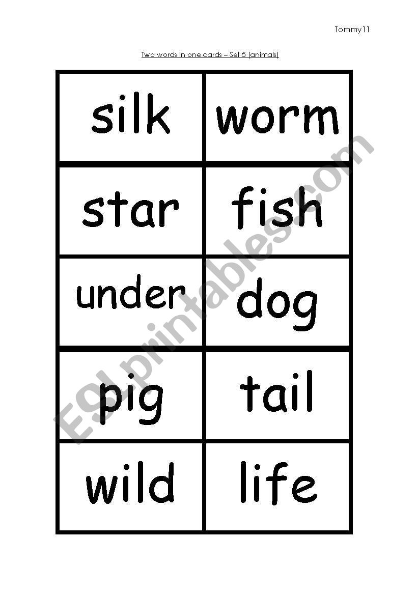 Two words in one - set 5 worksheet
