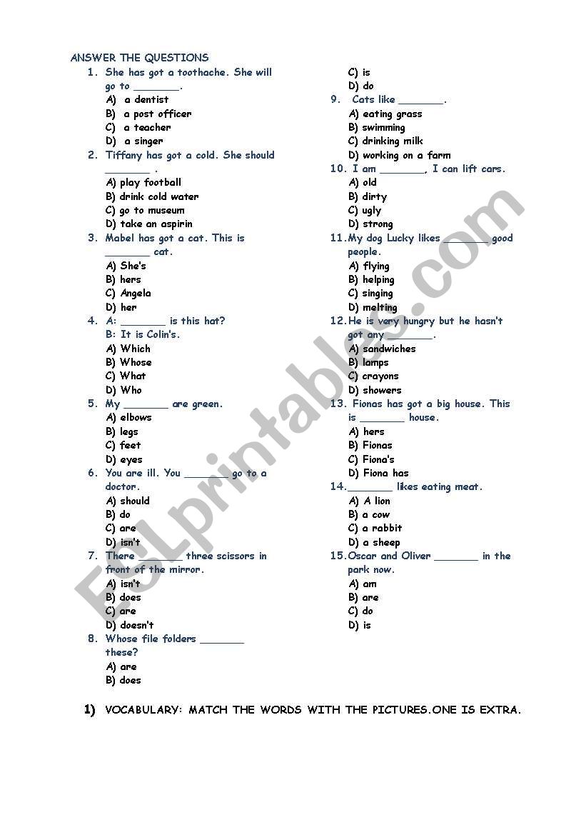 test for beginner worksheet