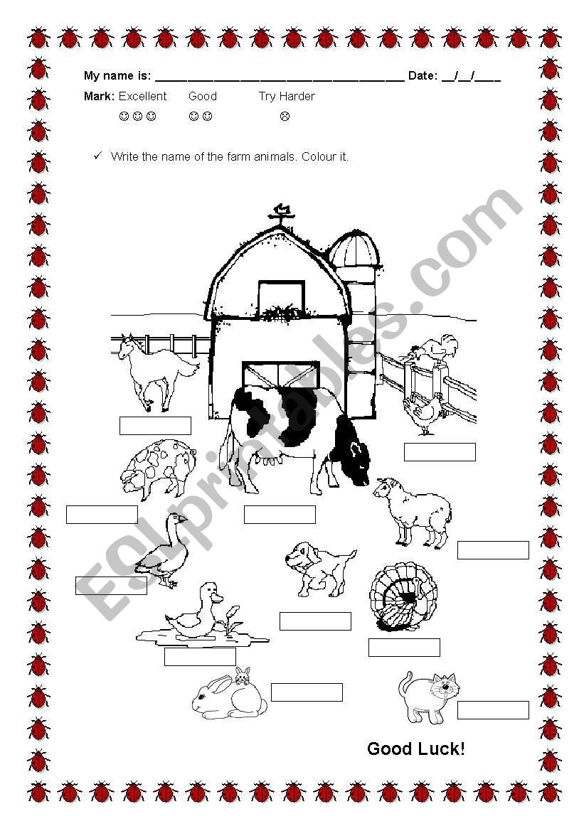 Farm animals worksheet