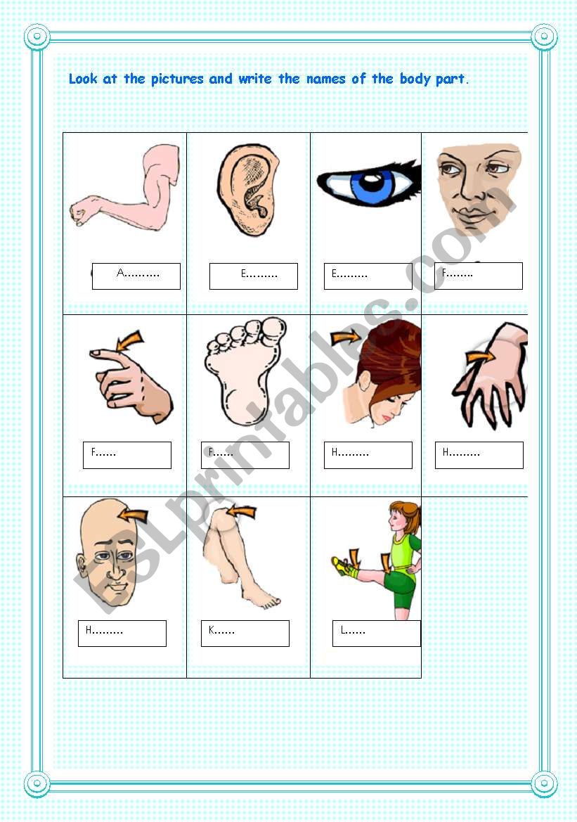 body parts worksheet