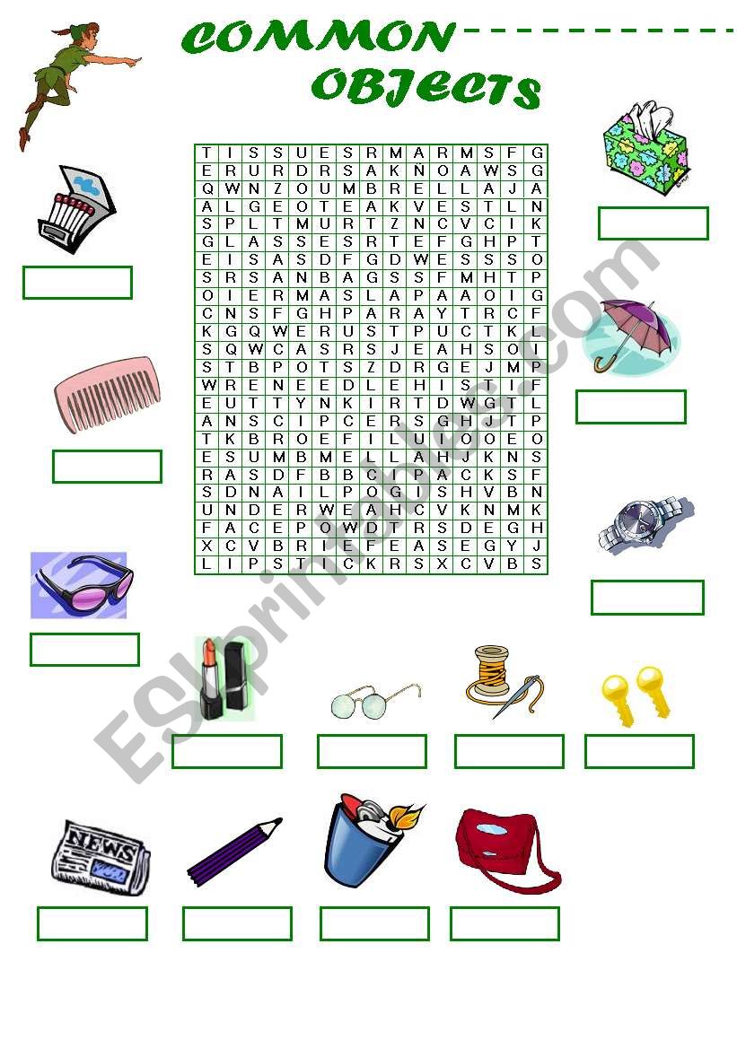 Common Objects Word-Search worksheet