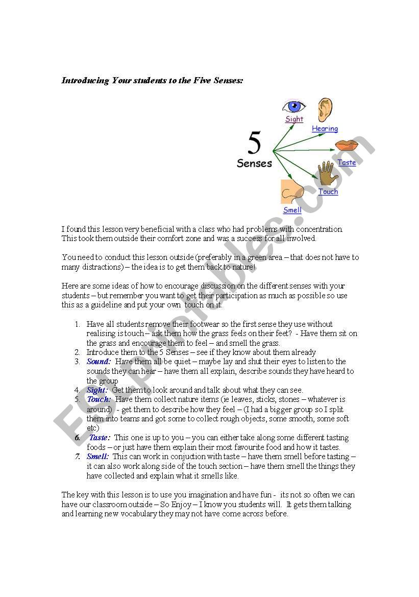 The 5 Senses worksheet