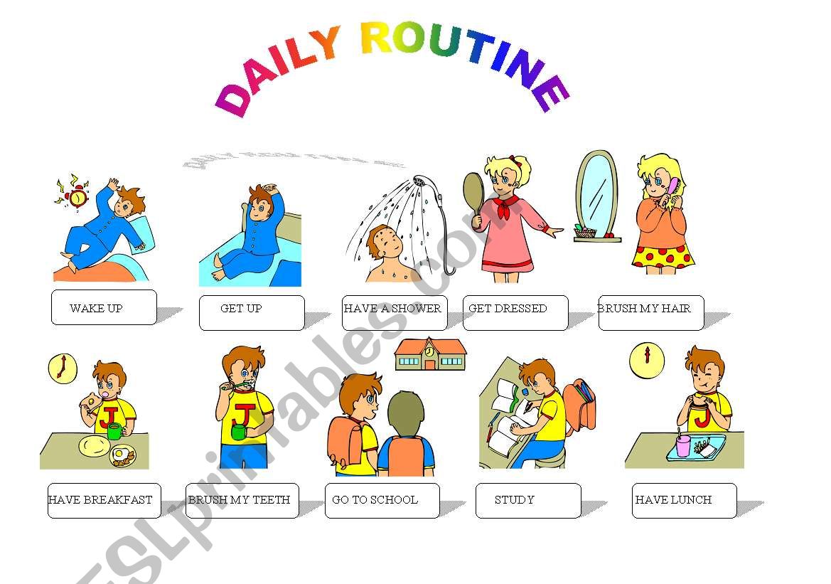 daily routine 1 worksheet