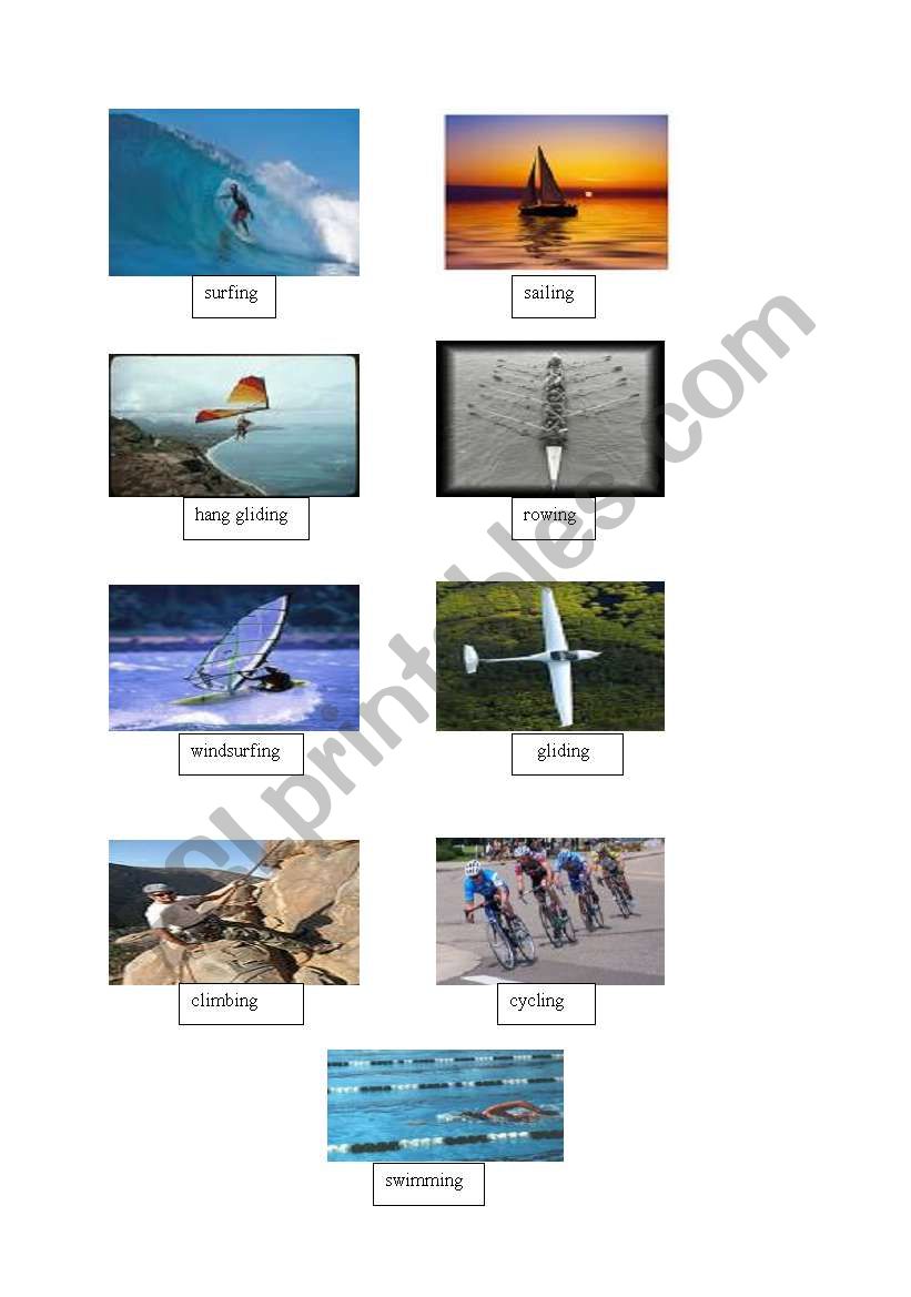 sports worksheet