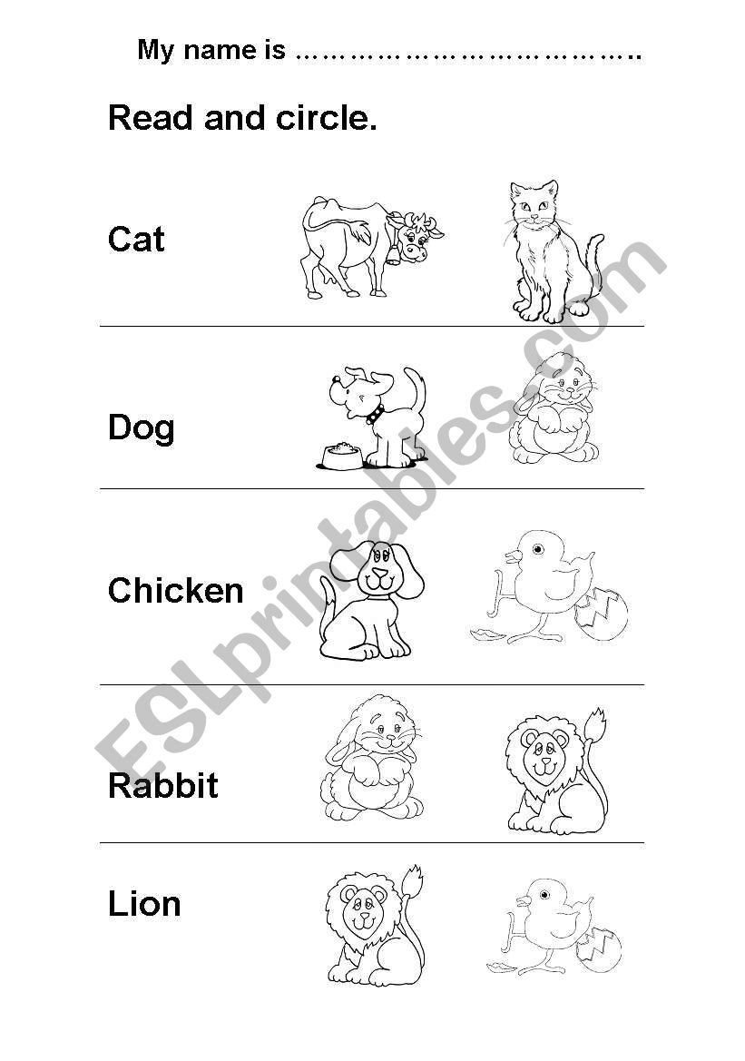 ANIMALS   READ AND CIRCLE worksheet