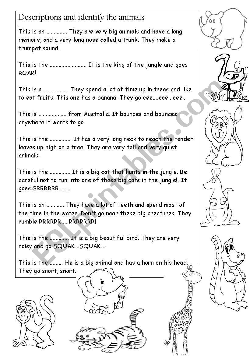 Identify the animals worksheet