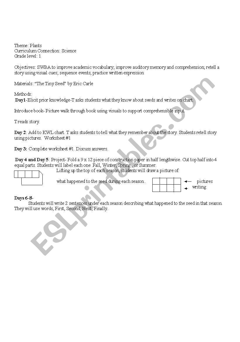 The Tiny Seed worksheet