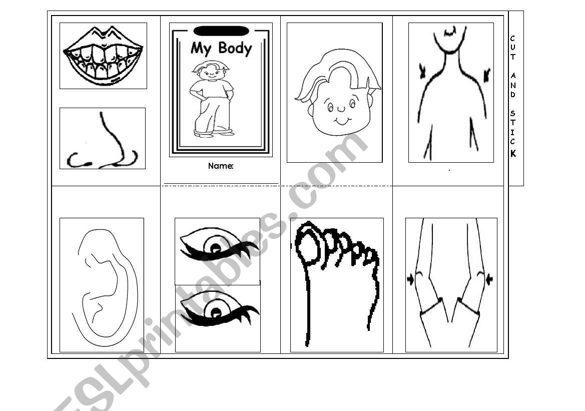 Body minibook worksheet