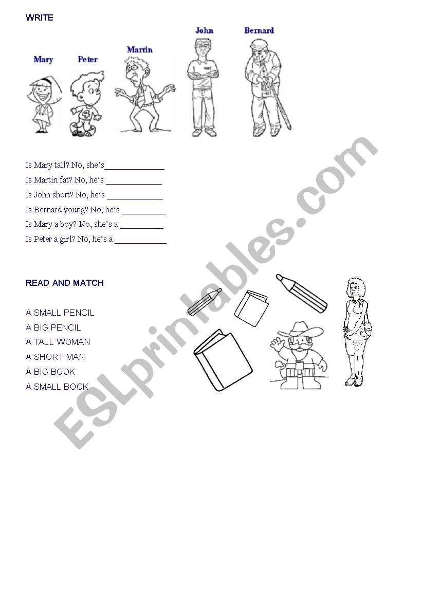 OPPOSITES worksheet