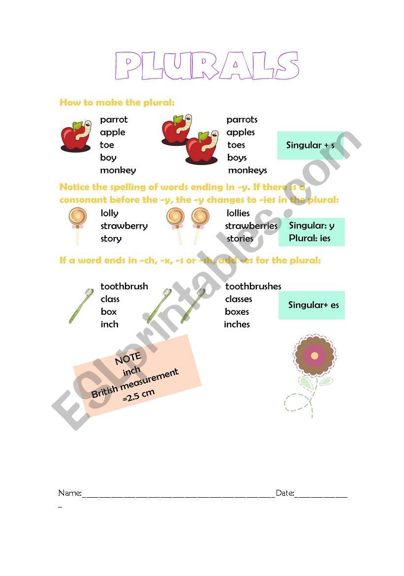 Plurals worksheet