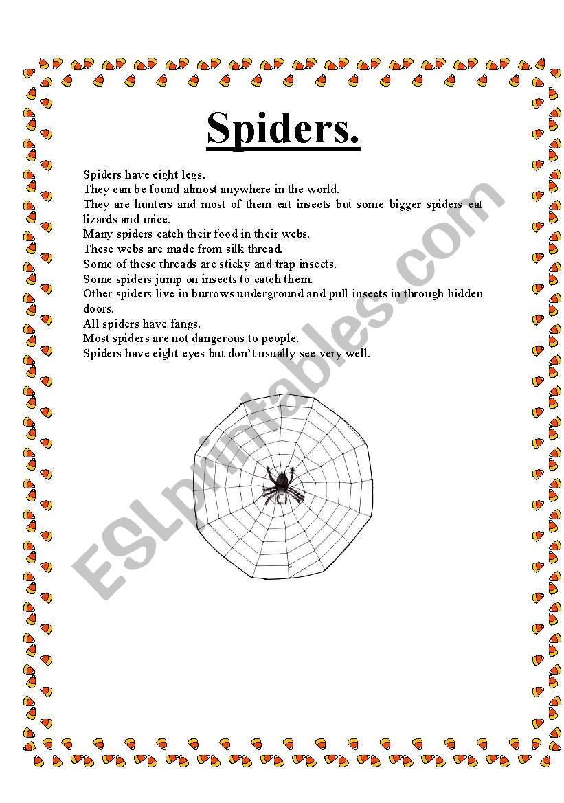 Spiders worksheet